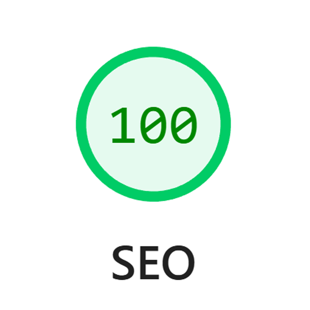 Web Mammoth website with a 100 Google Lighthouse SEO score.